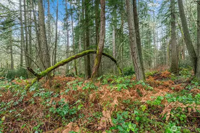 0 SW 220th Street, Vashon, WA 98070 - Photo 17