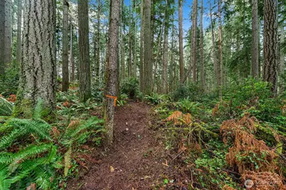 0 SW 220th Street, Vashon, WA 98070 - Photo 5