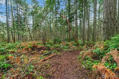 0 SW 220th Street, Vashon, WA 98070 - Photo 13