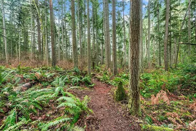 0 SW 220th Street, Vashon, WA 98070 - Photo 7