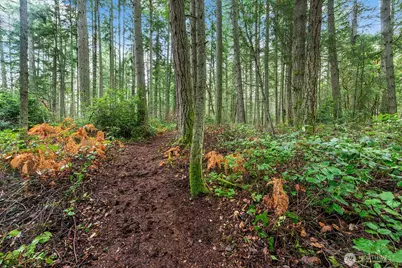 0 SW 220th Street, Vashon, WA 98070 - Photo 15