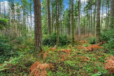 0 SW 220th Street, Vashon, WA 98070 - Photo 3