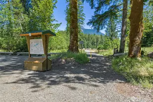 115 Alta Ln, Packwood, WA 98361 - Photo 39