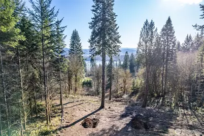 0 Bunker Hill Road #B, Longview, WA 98632 - Photo 11