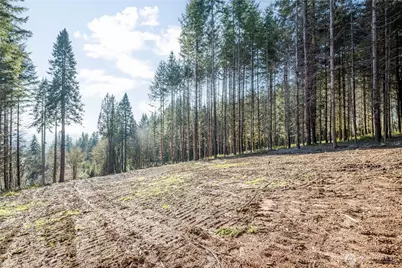 0 Bunker Hill Road #B, Longview, WA 98632 - Photo 9