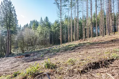0 Bunker Hill Road #B, Longview, WA 98632 - Photo 7