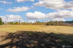 152 Mask Ln, Toutle, WA 98649 - Photo 33