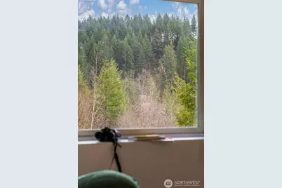 38220 NE Sunset Falls Road, Yacolt, WA 98675 - Photo 9