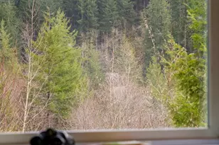 38220 NE Sunset Falls Rd, Yacolt, WA 98675 - Photo 9