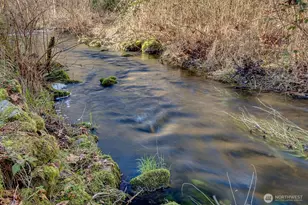 3018 Ilwaco Ave NE, Renton, WA 98059 - Photo 33