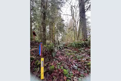 15026 Iceberg Road, Glacier, WA 98244 - Photo 7