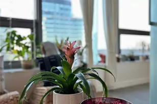 1808 Minor Ave, Seattle, WA 98101 - Photo 17