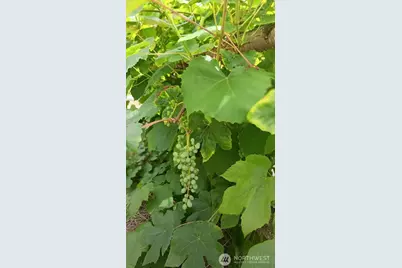 47367 State Route 20, Concrete, WA 98237 - Photo 3