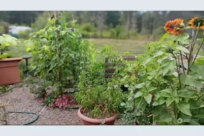 47367 State Route 20, Concrete, WA 98237 - Photo 9