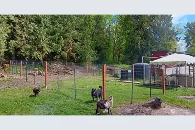 47367 State Route 20, Concrete, WA 98237 - Photo 5