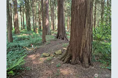 35275 Hood Canal Drive NE, Kingston, WA 98346 - Photo 9