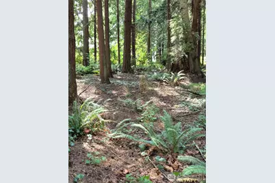 35275 Hood Canal Drive NE, Kingston, WA 98346 - Photo 11