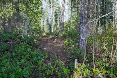 26663 Big Valley Road NE, Poulsbo, WA 98370 - Photo 39