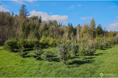 26663 Big Valley Road NE, Poulsbo, WA 98370 - Photo 9