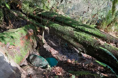 26663 Big Valley Road NE, Poulsbo, WA 98370 - Photo 25