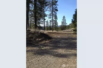 2 Mist Lake Road, Tonasket, WA 98855 - Photo 5