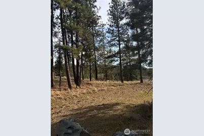 2 Mist Lake Road, Tonasket, WA 98855 - Photo 3