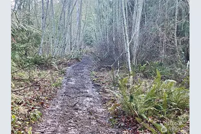 0 Chelsamish Drive, Sequim, WA 98382 - Photo 21