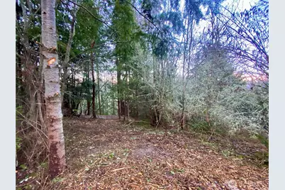 0 Chelsamish Drive, Sequim, WA 98382 - Photo 7