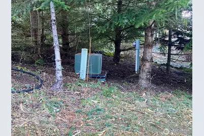 0 Chelsamish Drive, Sequim, WA 98382 - Photo 15