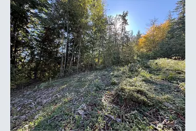 0 Chelsamish Drive, Sequim, WA 98382 - Photo 23