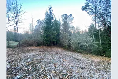 0 Chelsamish Drive, Sequim, WA 98382 - Photo 5