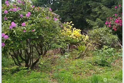 34502 SE 325th Street, Ravensdale, WA 98051 - Photo 21