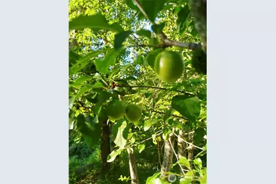 34502 SE 325th Street, Ravensdale, WA 98051 - Photo 19