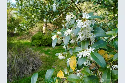 34502 SE 325th Street, Ravensdale, WA 98051 - Photo 23