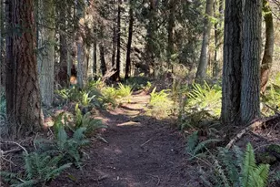 5455 No Name Rd, Anacortes, WA 98221 - Photo 37