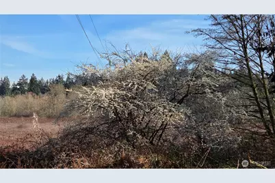 5707 Woodard Avenue, Freeland, WA 98249 - Photo 7