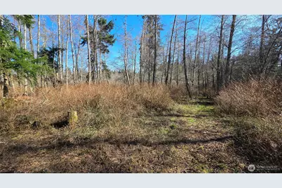 5707 Woodard Avenue, Freeland, WA 98249 - Photo 11