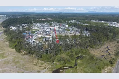 46 Seaside Lane, Pacific Beach, WA 98571 - Photo 39