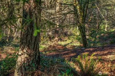 27810 99th Avenue SW, Vashon, WA 98070 - Photo 31