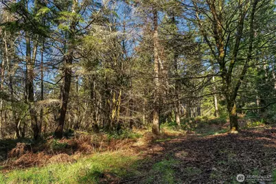 27810 99th Avenue SW, Vashon, WA 98070 - Photo 29