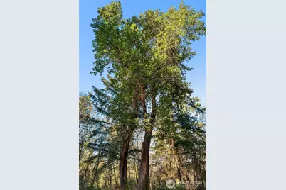 27810 99th Avenue SW, Vashon, WA 98070 - Photo 27