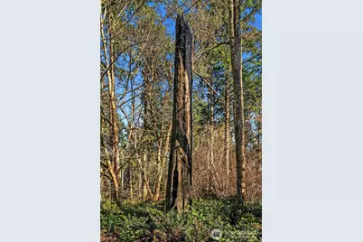 27810 99th Avenue SW, Vashon, WA 98070 - Photo 21