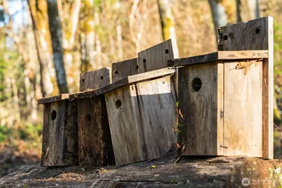 27810 99th Avenue SW, Vashon, WA 98070 - Photo 15