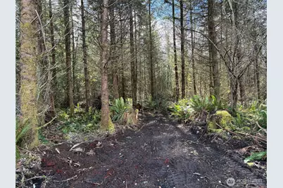 28840 Freelane Road, Carbonado, WA 98323 - Photo 5