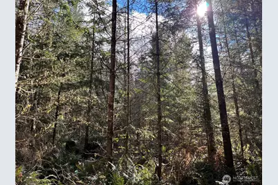 28840 Freelane Road, Carbonado, WA 98323 - Photo 7