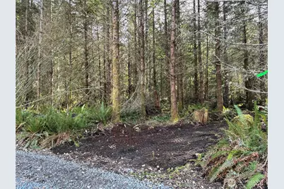28840 Freelane Road, Carbonado, WA 98323 - Photo 1