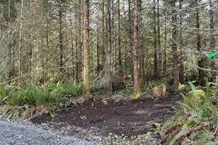 28840 Freelane Rd, Carbonado, WA 98323 - Photo 1