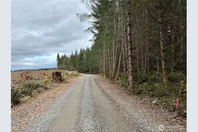 28840 Freelane Road, Carbonado, WA 98323 - Photo 3