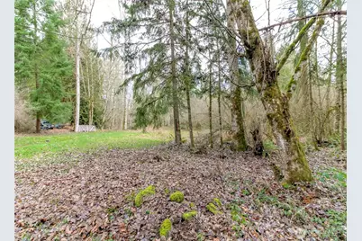 7308 335th Street Ct S, Roy, WA 98580 - Photo 9