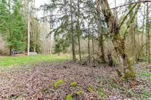 7308 335th St Ct S, Roy, WA 98580 - Photo 9